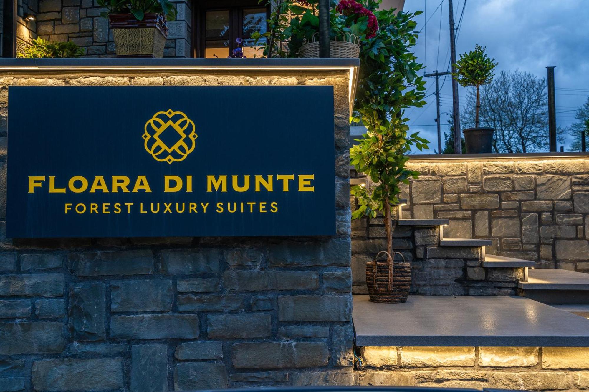 Floara Di Munte Forest Luxury Suites Metsovo Eksteriør billede