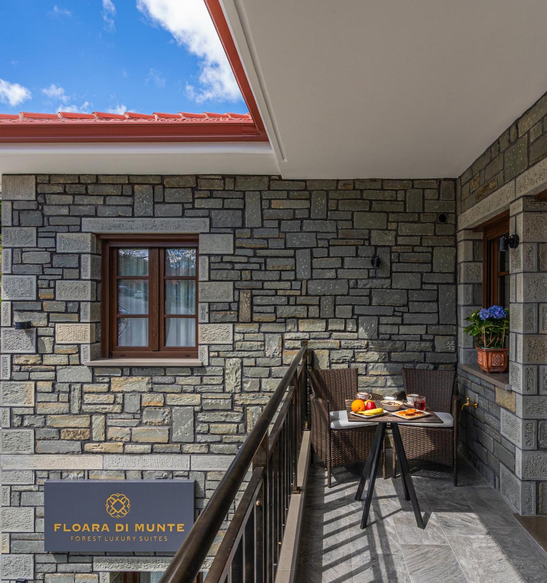 Floara Di Munte Forest Luxury Suites Metsovo Eksteriør billede