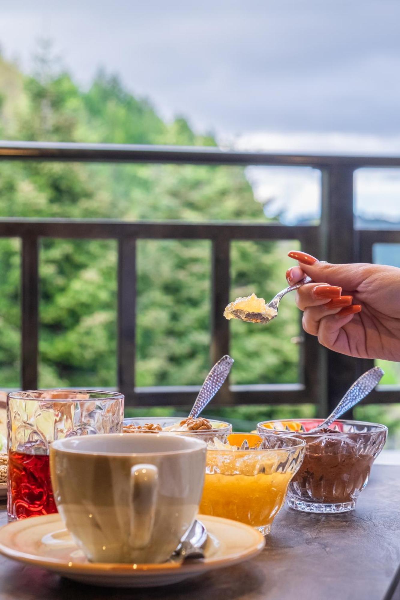 Floara Di Munte Forest Luxury Suites Metsovo Eksteriør billede