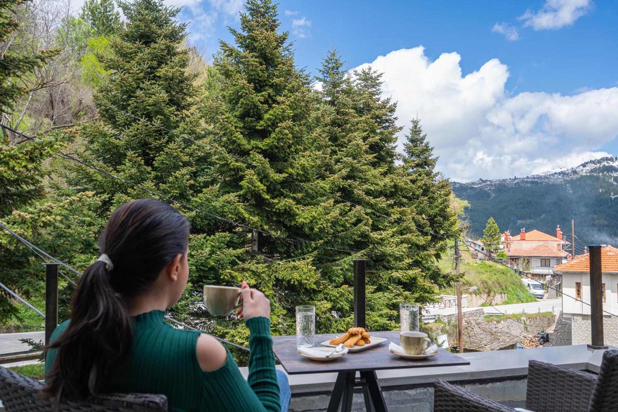 Floara Di Munte Forest Luxury Suites Metsovo Eksteriør billede